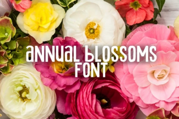 Annual Blossom: The Bold Display Font for Handmade Brands