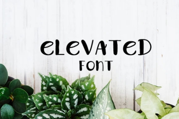 Elevated: The Playful Display Font for Memorable Branding