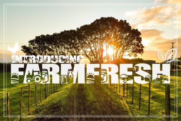 Farm Fresh Typeface for Playful Campaign Design