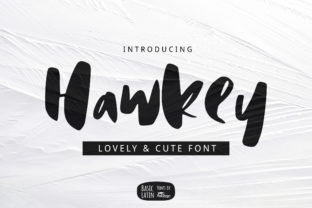 Hawkey: The Casual Brush Pen Display Font for Scroll-Stopping Visuals