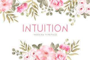 Intuition Typeface: A Friendly Display Font for Modern Editorial Design