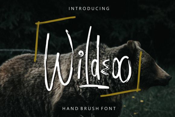 Wildeoo: The Brush Pen Display Font for Authentic Campaign Visuals